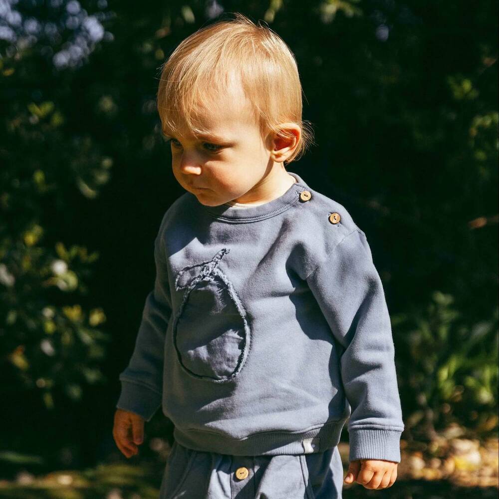 NEW SNUG boys pear sweatshirt in blue